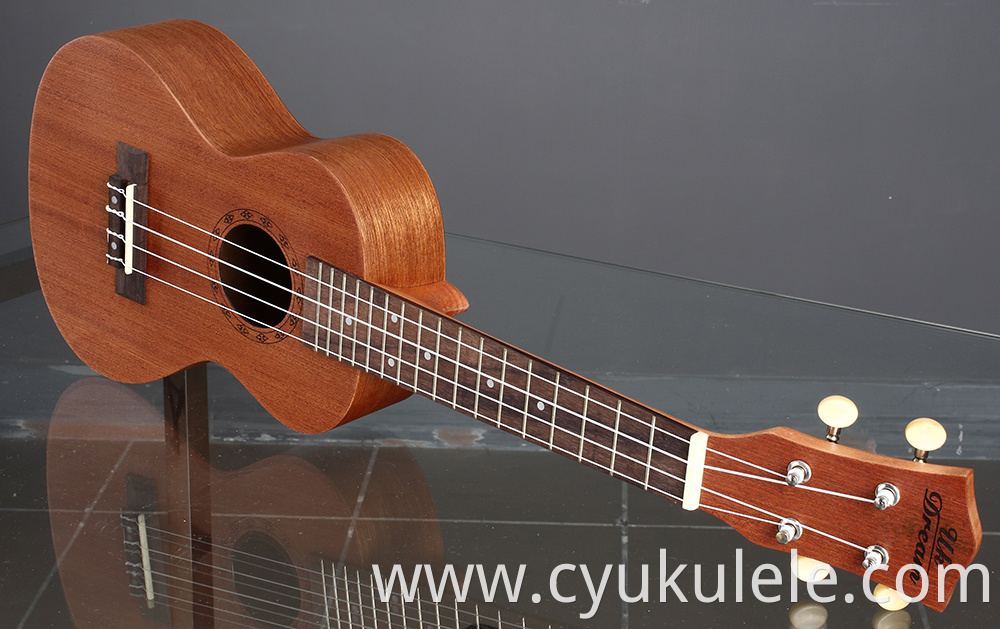 ukulele20